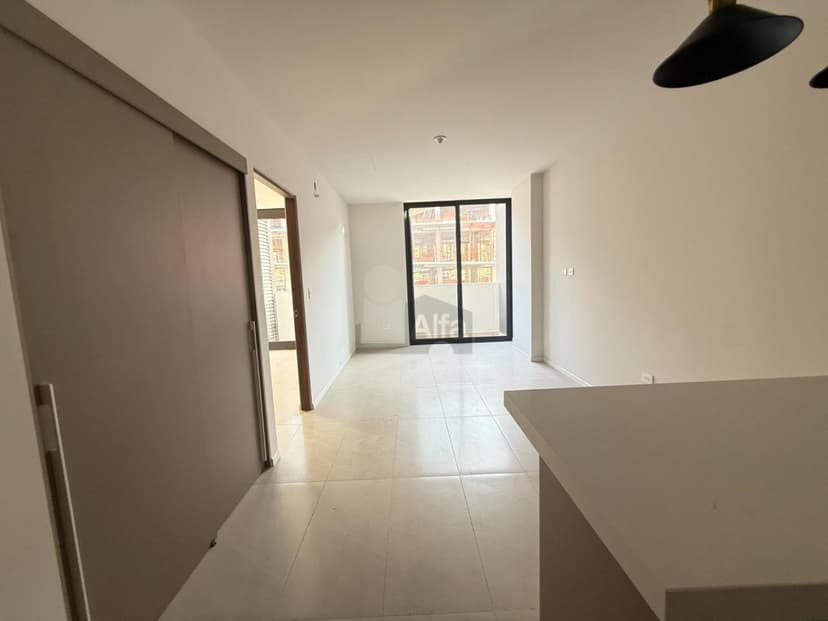 Gallery main