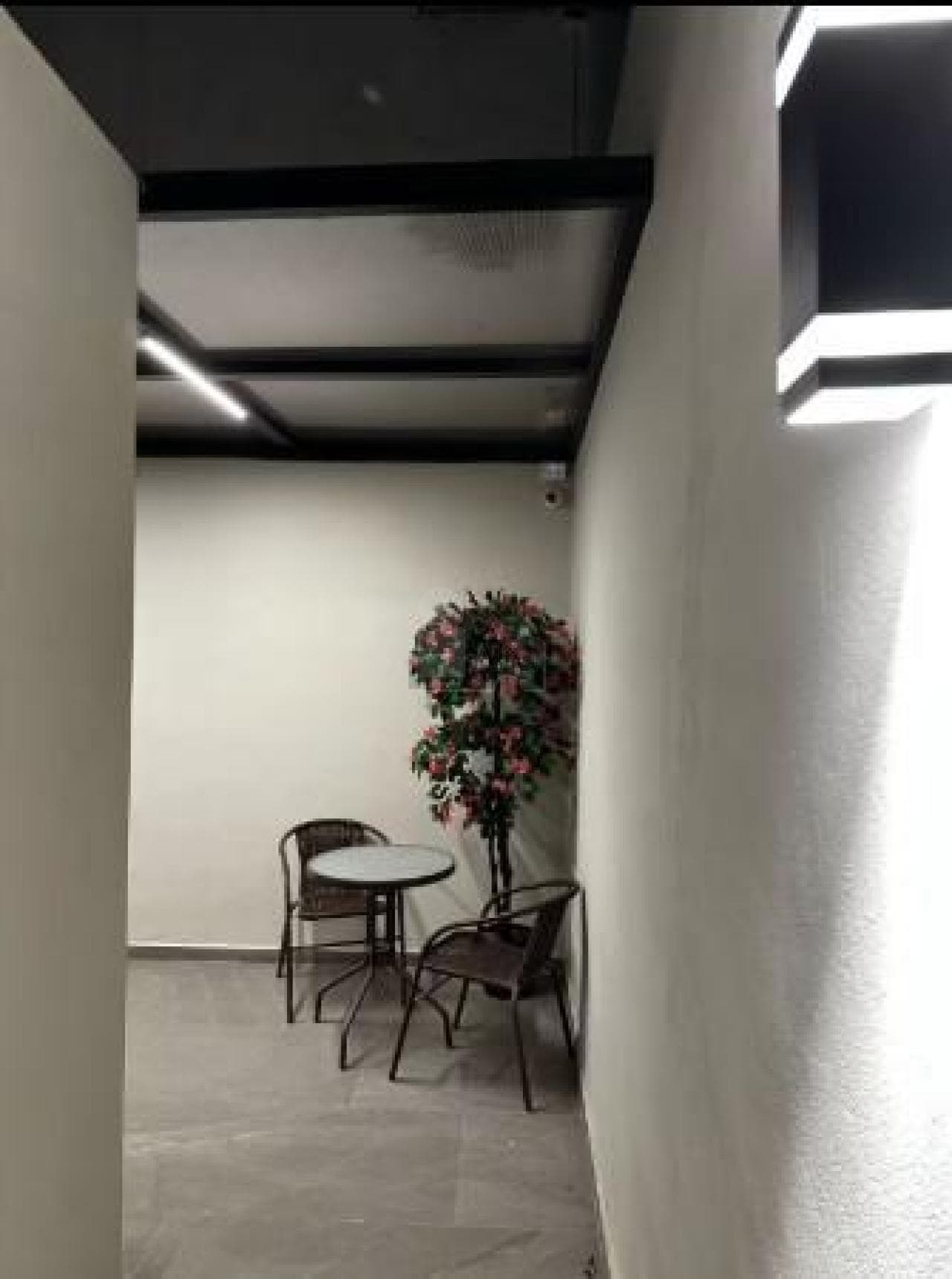 Fotos adicionales