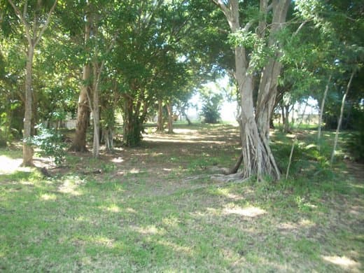 Terreno en Venta - 5