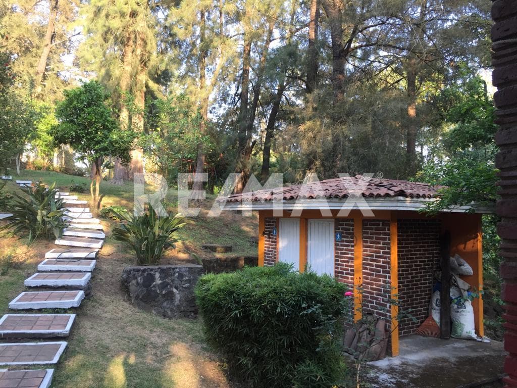 Fotos adicionales