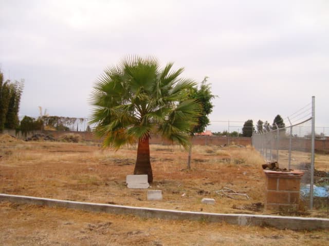 Terreno en Venta - 5