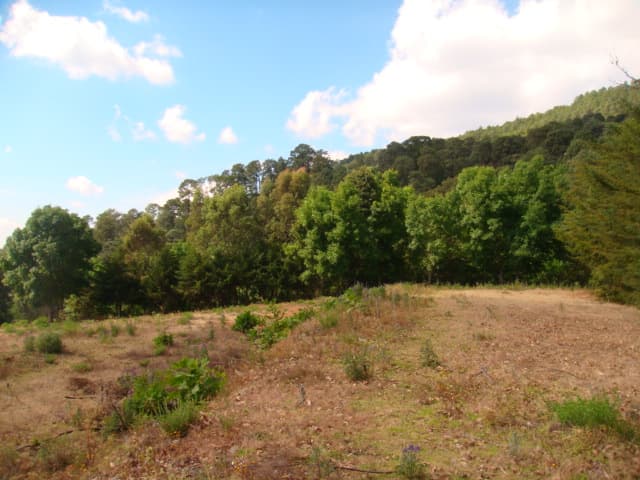 Terreno en Venta - 5