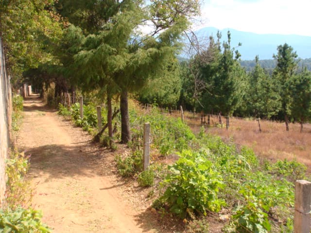 Terreno en Venta - 5