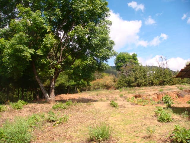 Terreno en Venta - 5
