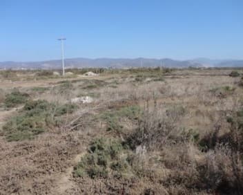 Terreno en venta en El Salitral, Maneadero