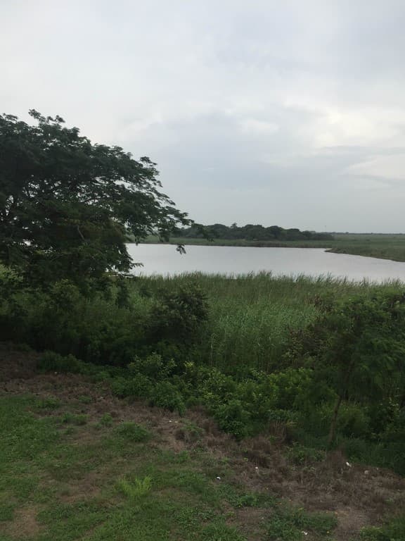 Terreno en Venta - 5