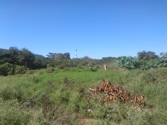 Amplio Terreno en venta cerca de la Zona Centro de Altamira.