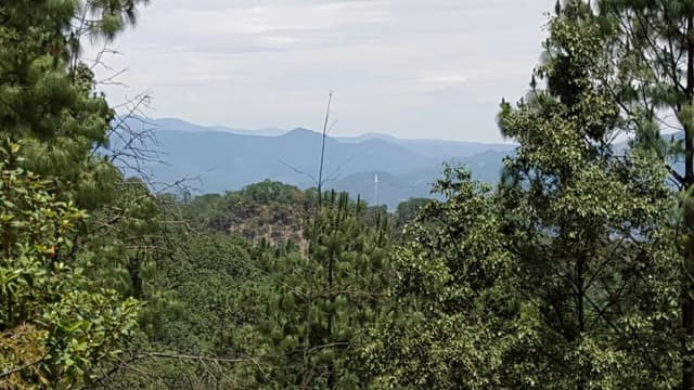 Terreno en Venta - 5