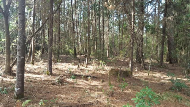 Terreno en Venta - 5