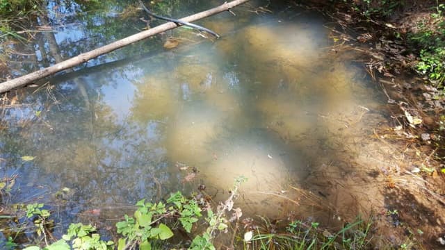 Terreno en Venta - 5