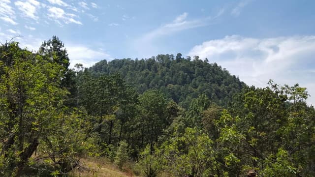 Terreno en Venta - 5