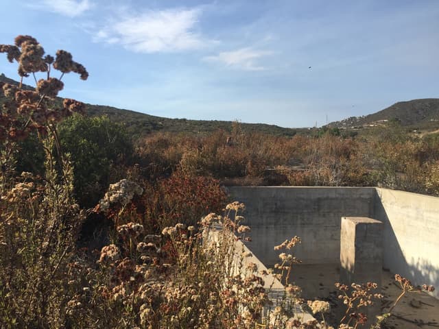 19 Hectareas En Ojos Negros