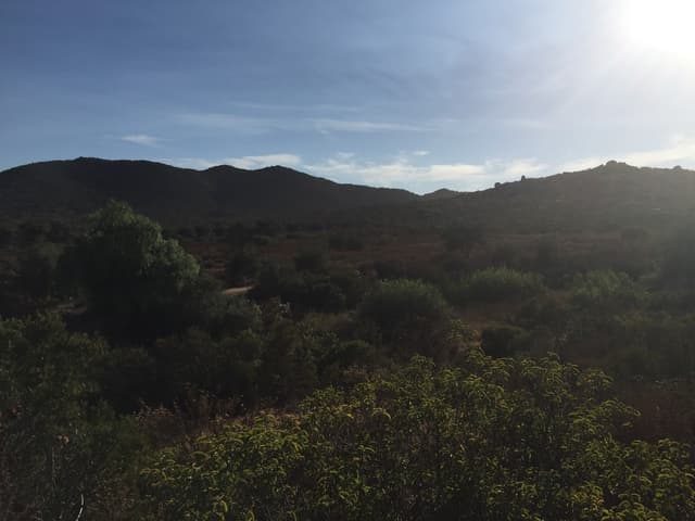 19 Hectareas En Ojos Negros