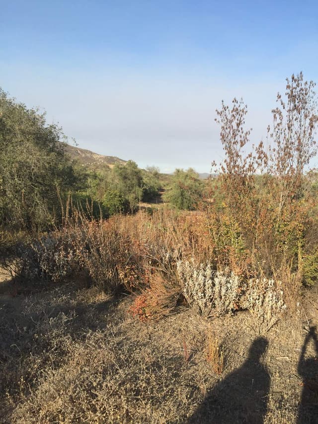 19 Hectareas En Ojos Negros