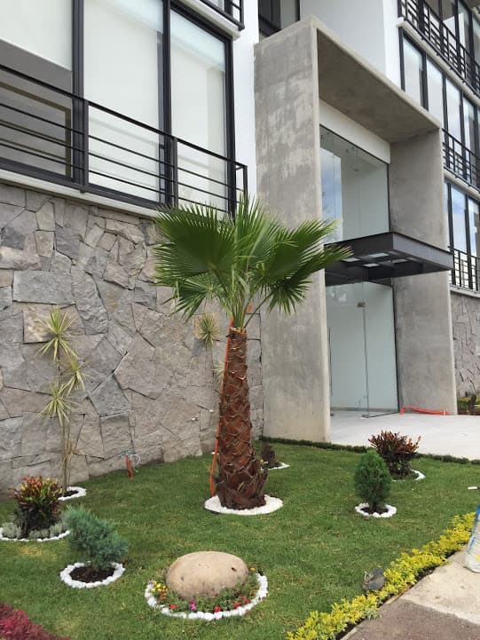 DEPARTAMENTO EN RENTA TORRE ALLEGRO, LOMAS DE ANGELOPOLIS, PUEBLA
