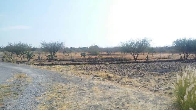 Terreno en Venta 