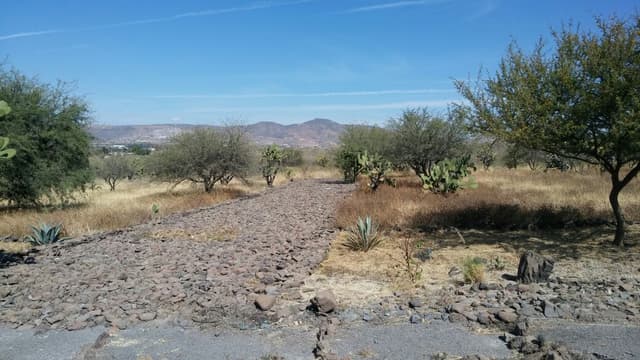 Terreno en Venta 