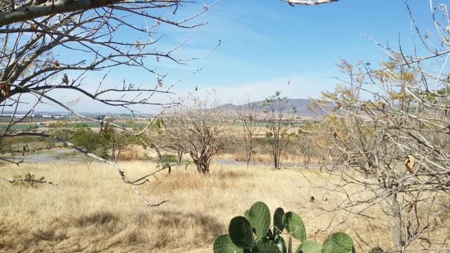 Terreno en Venta 