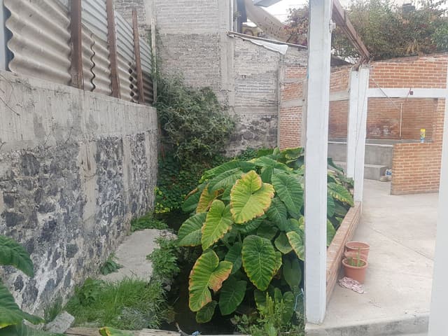 EN VENTA TERRENO CON ALTA PLUSVALIA IDEAL PARA DESARROLLADORES EJE 10