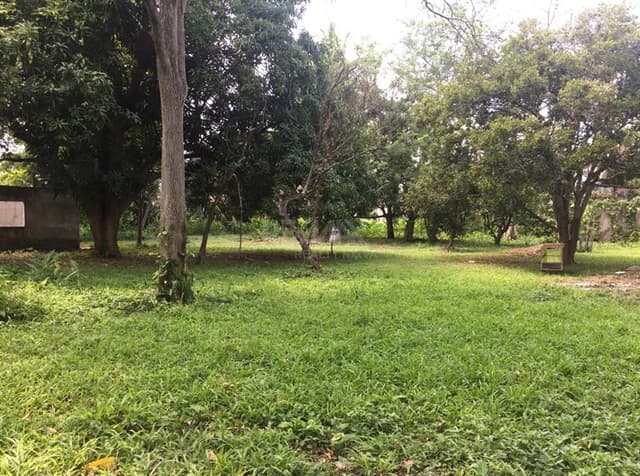 Terreno en venta en R. Gonzalez 1a Secc