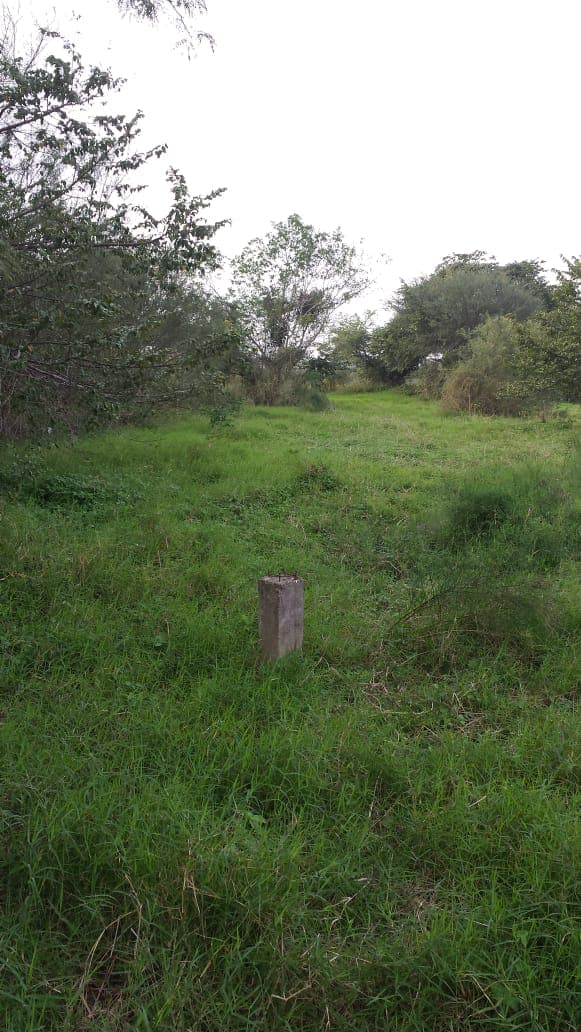 Terreno sobre el bordo de carretera Tampico - Cd Valles.