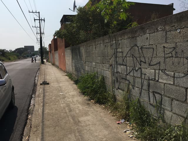 Terreno en Venta,  Col. Altamira Centro, Altamira