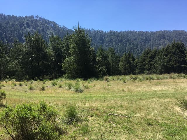 Terreno en Venta - 5