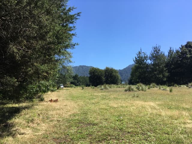 Terreno en Venta - 5