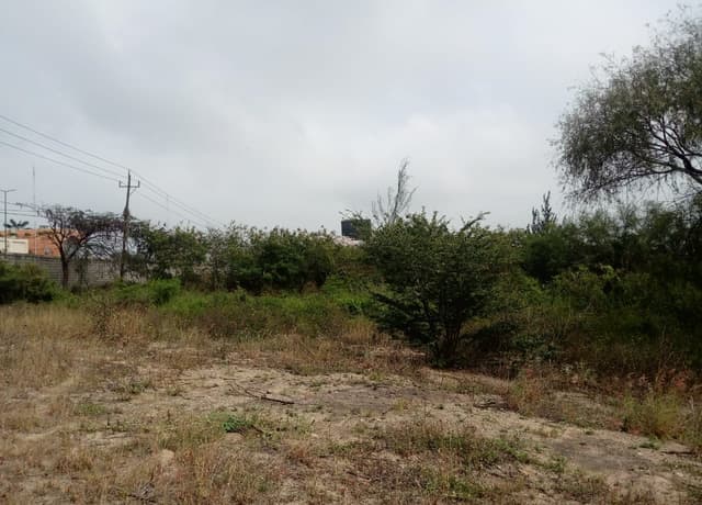 Terreno comercial en venta ubicado en Carretera Tampico-Mante.