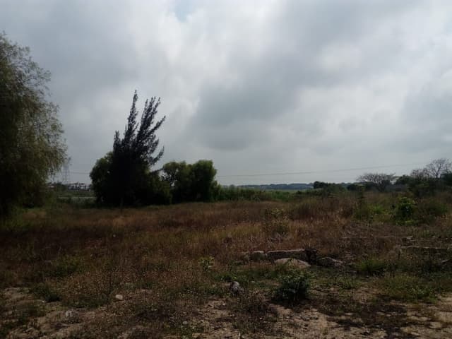 Terreno comercial en venta ubicado en Carretera Tampico-Mante.