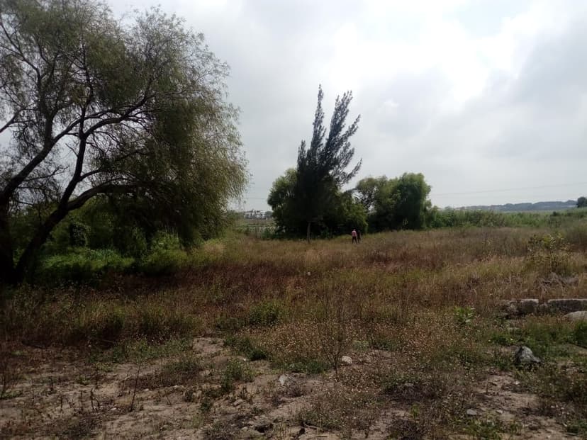 Terreno comercial en venta ubicado en Carretera Tampico-Mante.