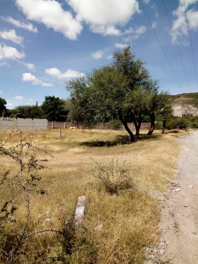Terreno Ordeña