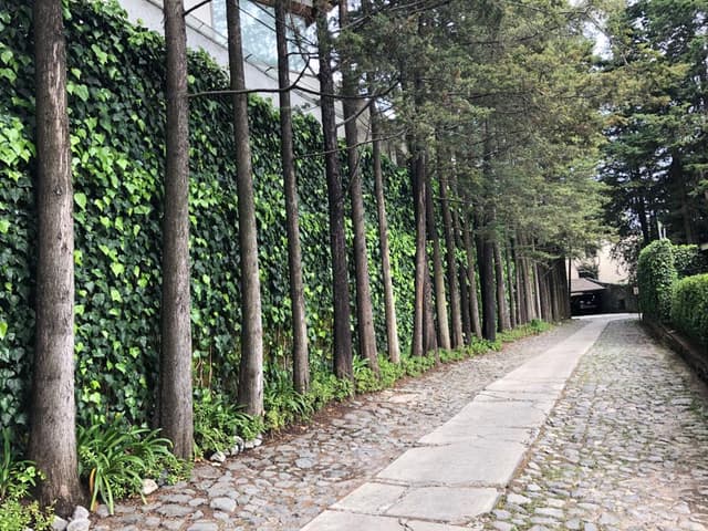 CASA EN VENTA ESTILO MEXICANO, CONTADERO, CUAJIMALPA 