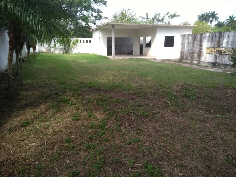 Gallery main