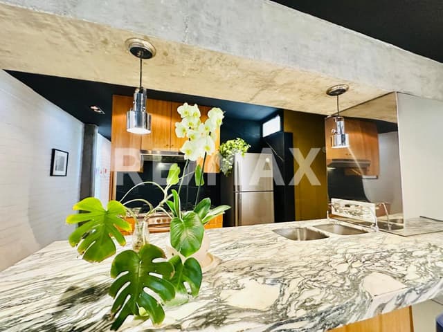 DEPARTAMENTO EN RENTA EN LOS FRESNOS