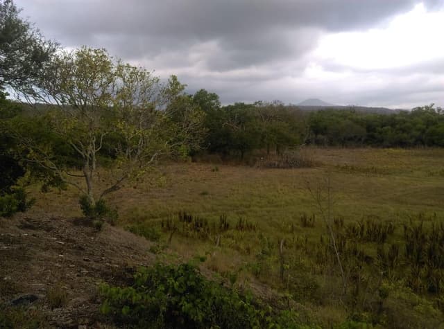 Terreno en Venta, Ejido el Paisajito, Aldama Tamaulipas