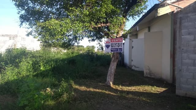 Terreno en Venta, Col. Revolución Mexicana, Panuco Veracruz