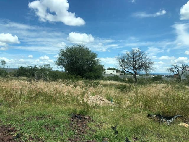 TERRENO COMERCIAL EN VENTA CIUDAD MADERAS QUERETARO OPORTUNIDAD CTV190801-GB