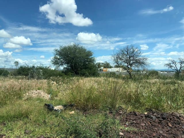 TERRENO COMERCIAL EN VENTA CIUDAD MADERAS QUERETARO OPORTUNIDAD CTV190802-GB
