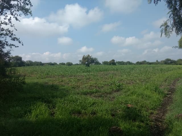 Terreno Venta  de 25,704.75 m²