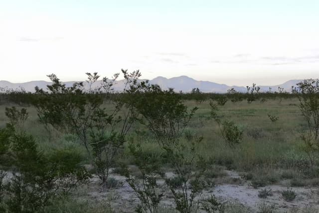 Terreno - Industrial en Venta - 5