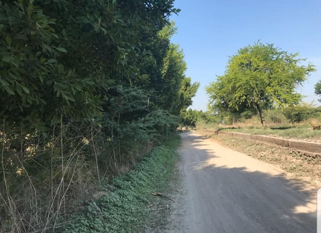 Terreno Ideal para rancho, desarrollo de vivienda ó nave industrial, cercano al lago de Tequesquintengo.