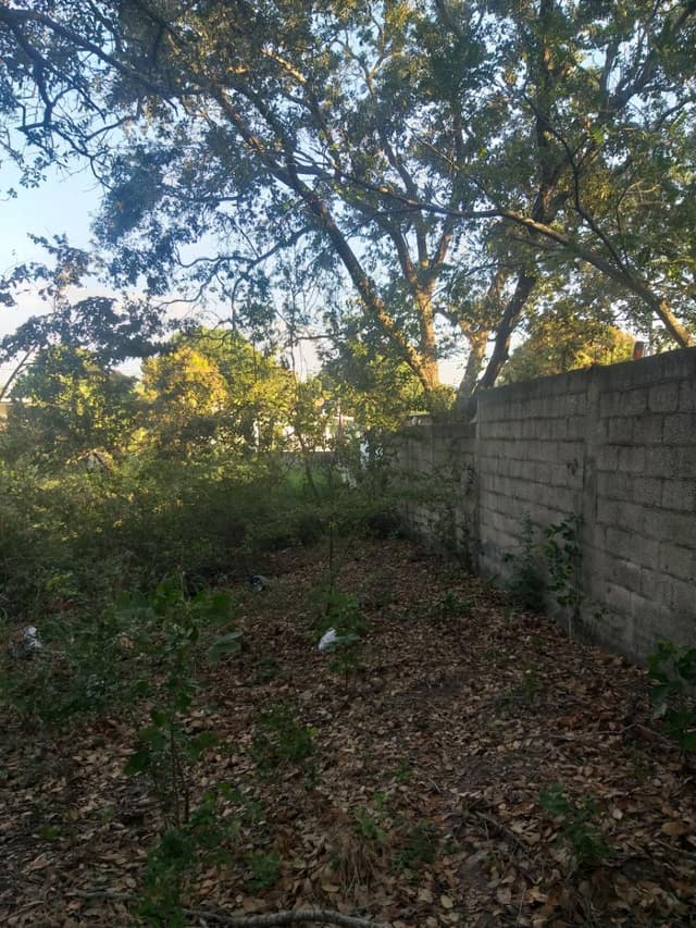 Terreno en Venta, Col. Revolucion Obrera, Altamira