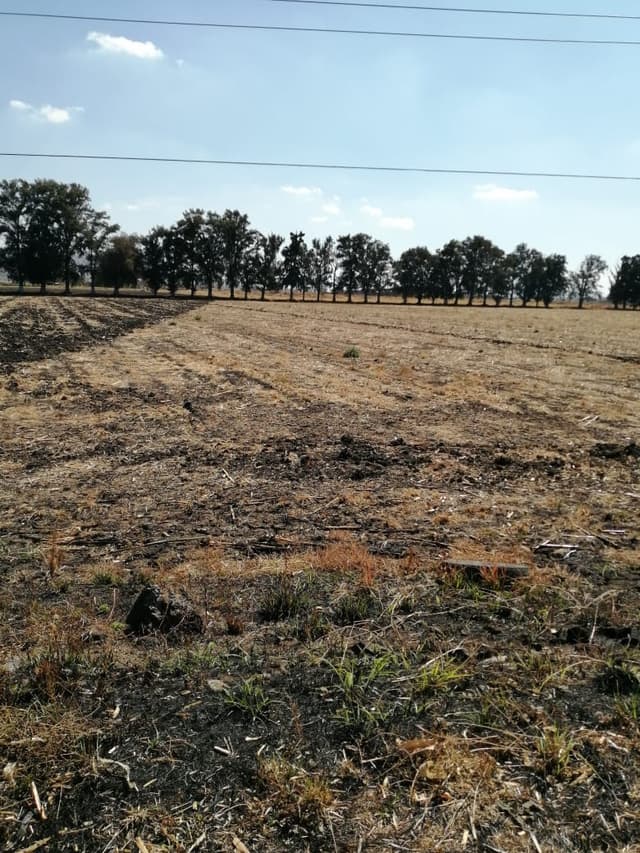 Terreno en Venta 