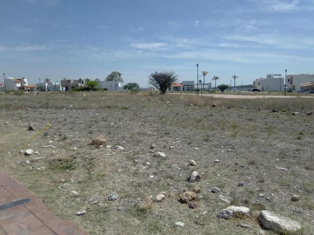 ACR/ Excelente Terreno en Cd Maderas