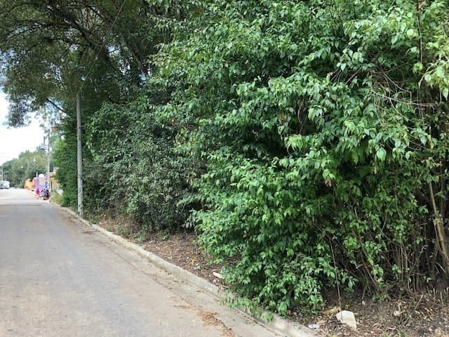 Terreno en venta en La Quinta San Martín, Lote 9