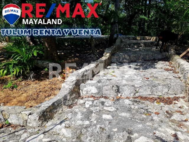 Rancho de 1 hectárea a 4.5 km del centro de Tulum