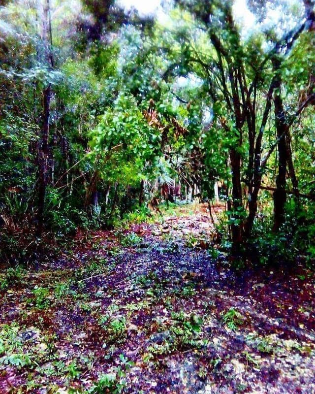 HERMOSO CENOTE EN VENTA