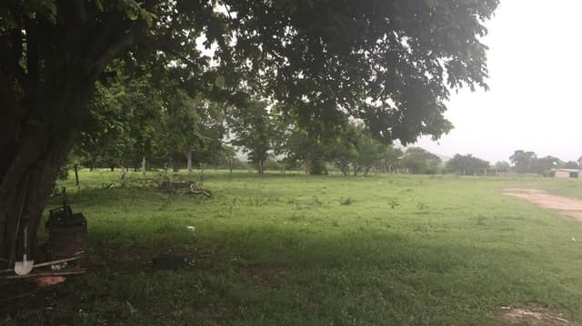 7 hectareas en VENTA junto a Ciudad Universitaria de la UNACH