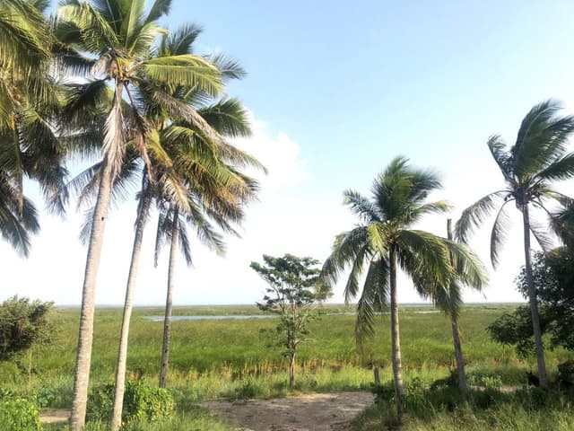 Terreno en Venta - 5